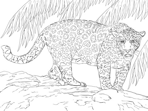 Great Jaguar Coloring Page